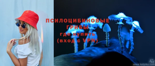а пвп мука Аркадак