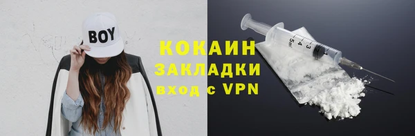 амф Арсеньев