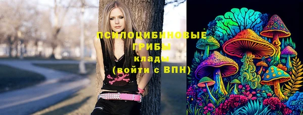индика Армянск