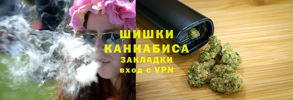 амф Арсеньев