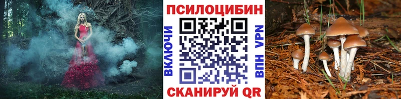 Псилоцибиновые грибы GOLDEN TEACHER  купить закладку  мега ТОР  мориарти какой сайт  Нарткала 