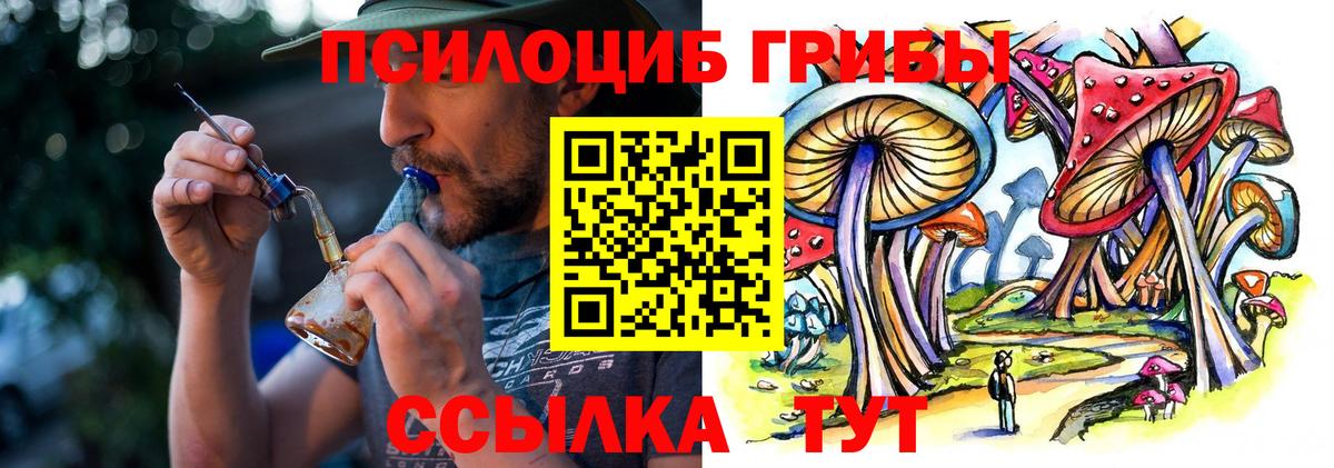 Псилоцибиновые грибы GOLDEN TEACHER Нарткала