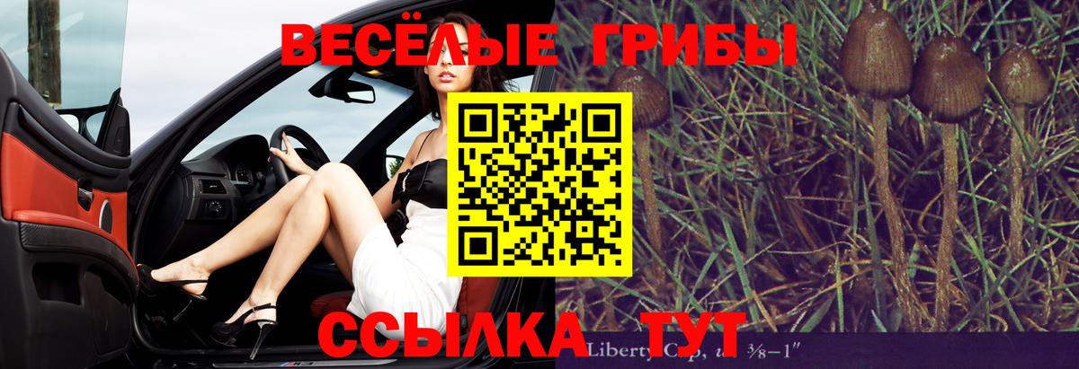 Галлюциногенные грибы GOLDEN TEACHER  Вход с VPN  как найти наркотики  Нарткала 