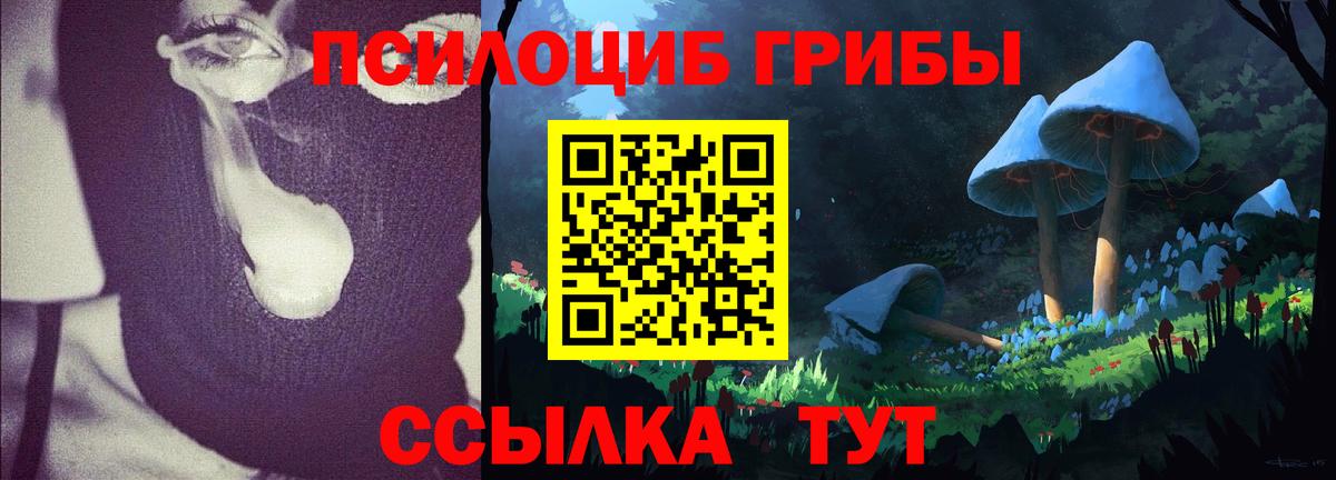 Псилоцибиновые грибы GOLDEN TEACHER Нарткала