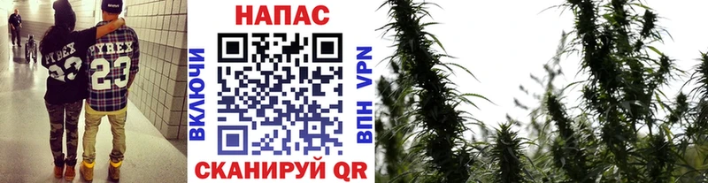 Шишки марихуана White Widow  сколько стоит  ссылка на мегу ONION  Нарткала 